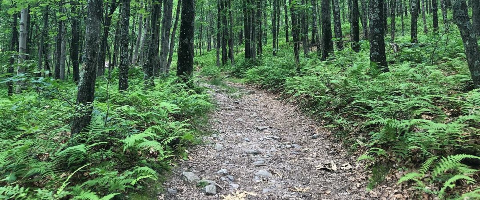 Exploring the Free Weather Services in Northeastern Georgia