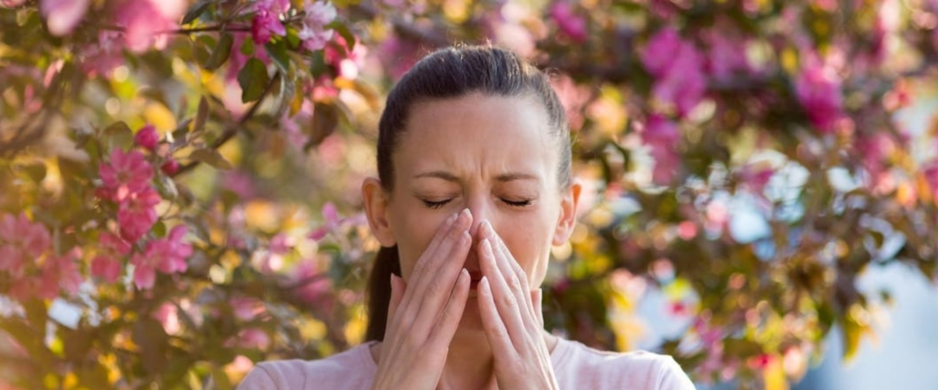 Weather Services in Northeastern Georgia: Providing Pollen and Allergy Forecasts