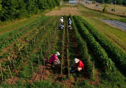 The Importance of Weather Services for Farmers in Northeastern Georgia