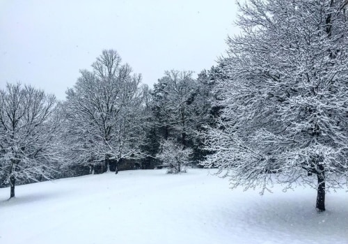 The Role of Weather Services in Northeastern Georgia